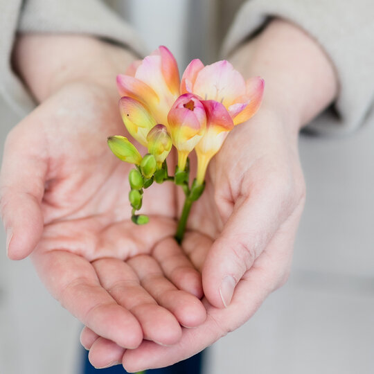 Hände halten eine Blume | © SIMOarts.com - Simone Kessler
